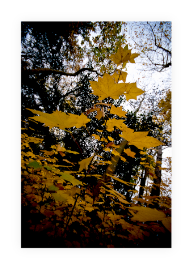 stacks_image_FC9D3FD5-7395-4F12-B54F-E4767812EEE2