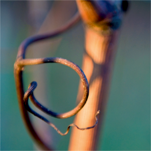 stacks_image_D2D4797B-A22E-4EA6-8BAA-48B0D613F1DC